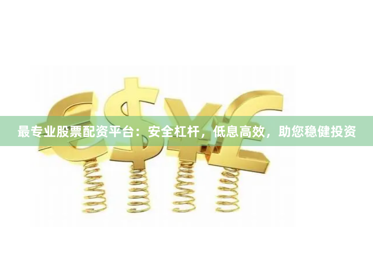 最专业股票配资平台：安全杠杆，低息高效，助您稳健投资