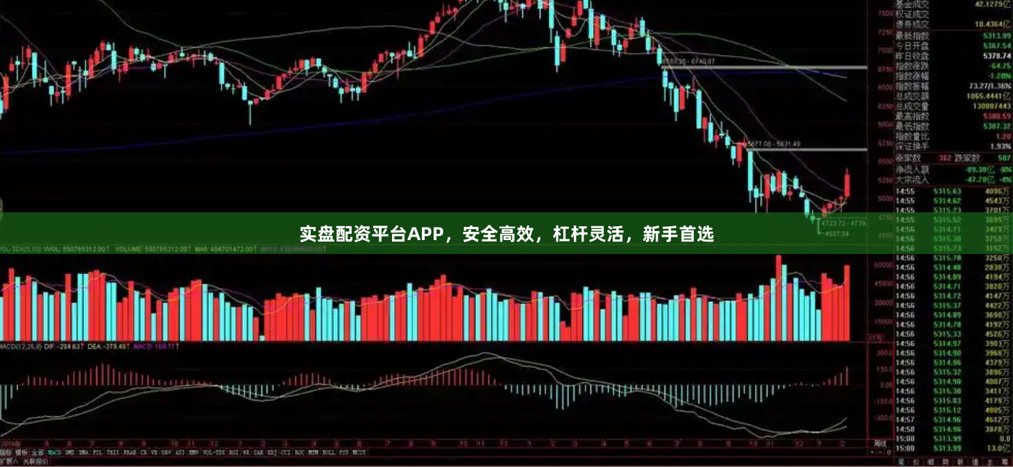 实盘配资平台APP，安全高效，杠杆灵活，新手首选